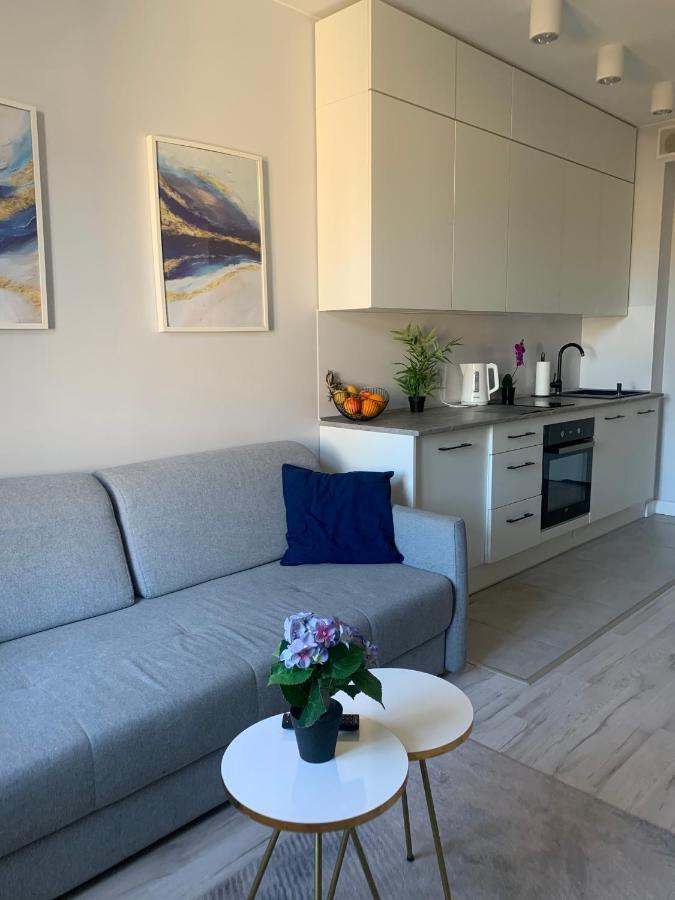 Apartament W Centrum Miasta ウッチ エクステリア 写真